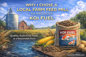Koi Fuel: What I’m Trying to Do and Why