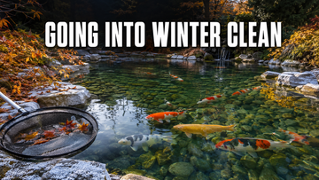 Going Into Winter Clean