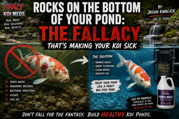 Rocks on the Bottom of Your Pond: The Fallacy That's Making Your Koi Sick