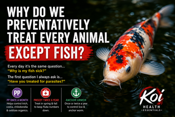 Why Do We Preventatively Treat Every Animal Except Fish?