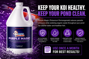 Purple Magic, Potassium Permanganate, and How to Use It