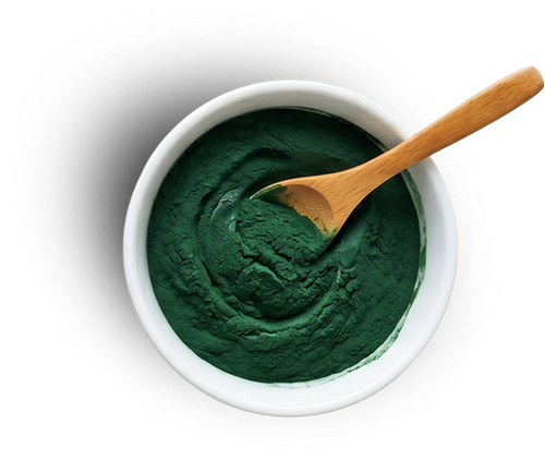 Spirulina