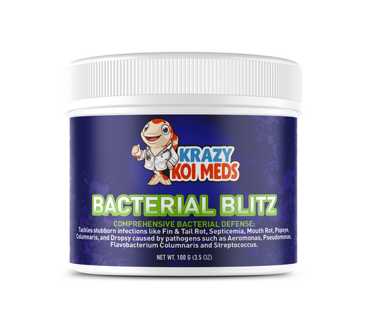 Bacterial Blitz