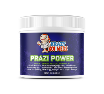Prazi Power