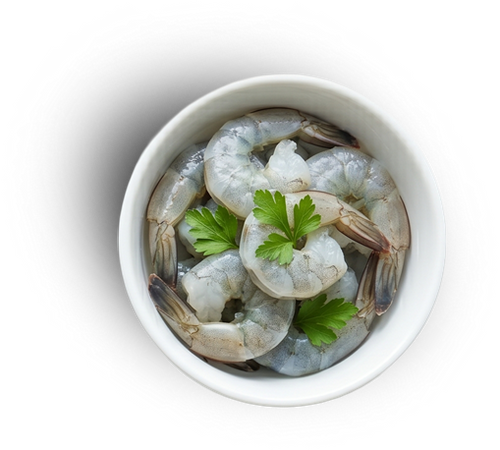 Shrimp Protein