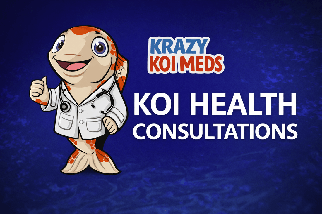 Koi Health Consultation - 30 Minute Consultation with 30 year Koi Veteran image featuring cartoon koi fish mascot.