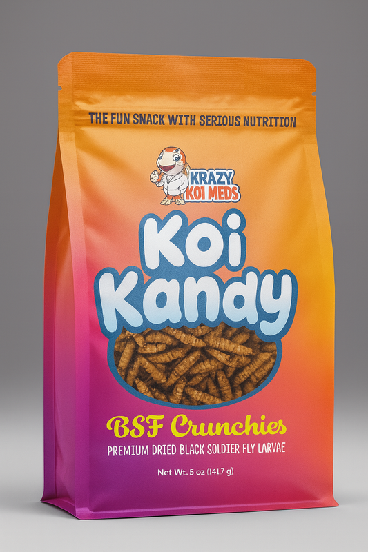 BSF Crunchies – High Protein Koi Treats | Koi Kandy
