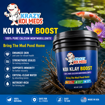 Koi Klay Boost - Professional pond management system for enhancing koi health and water quality.