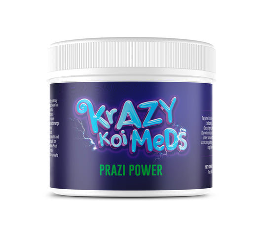Prazi Power