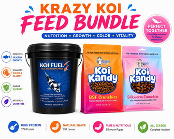 3.5 lb Premium Koi Food Bundle