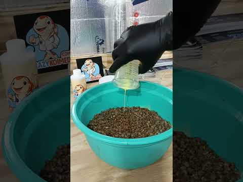 Bacterial Blitz